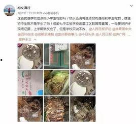 中实学校爆料事件视频,视频揭露惊人真相  第1张